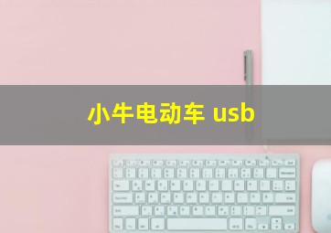 小牛电动车 usb